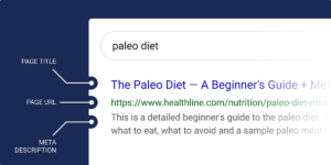 What Are SERPs & Why Are They Important for SEO?