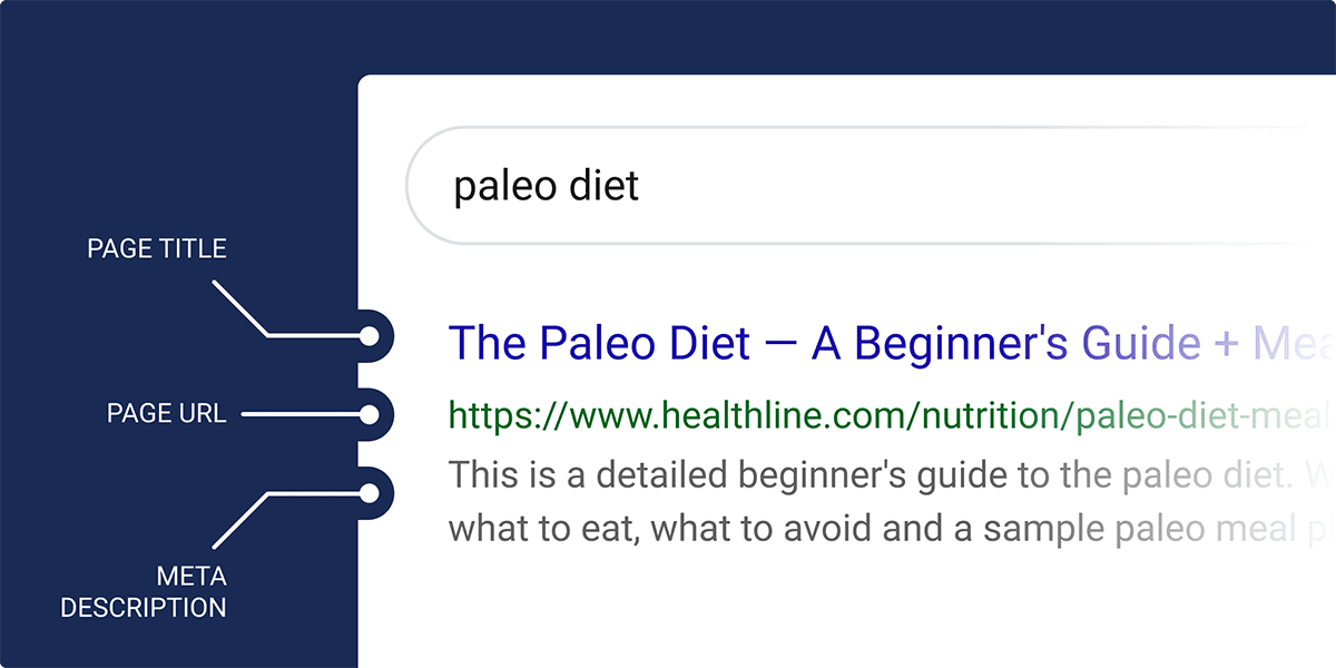 Organic search results snippet example Organic search results snippet example