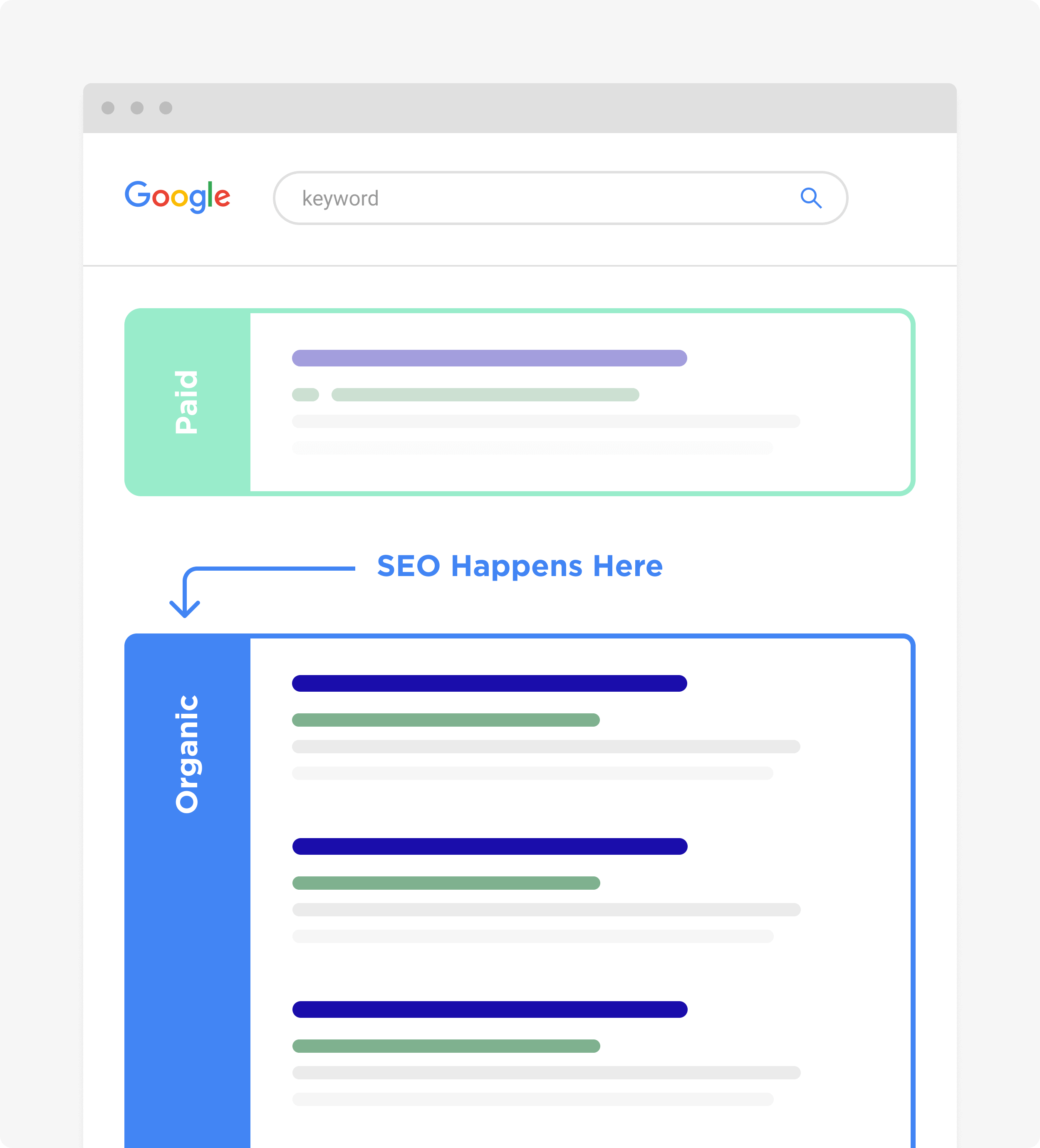 Seo Expert