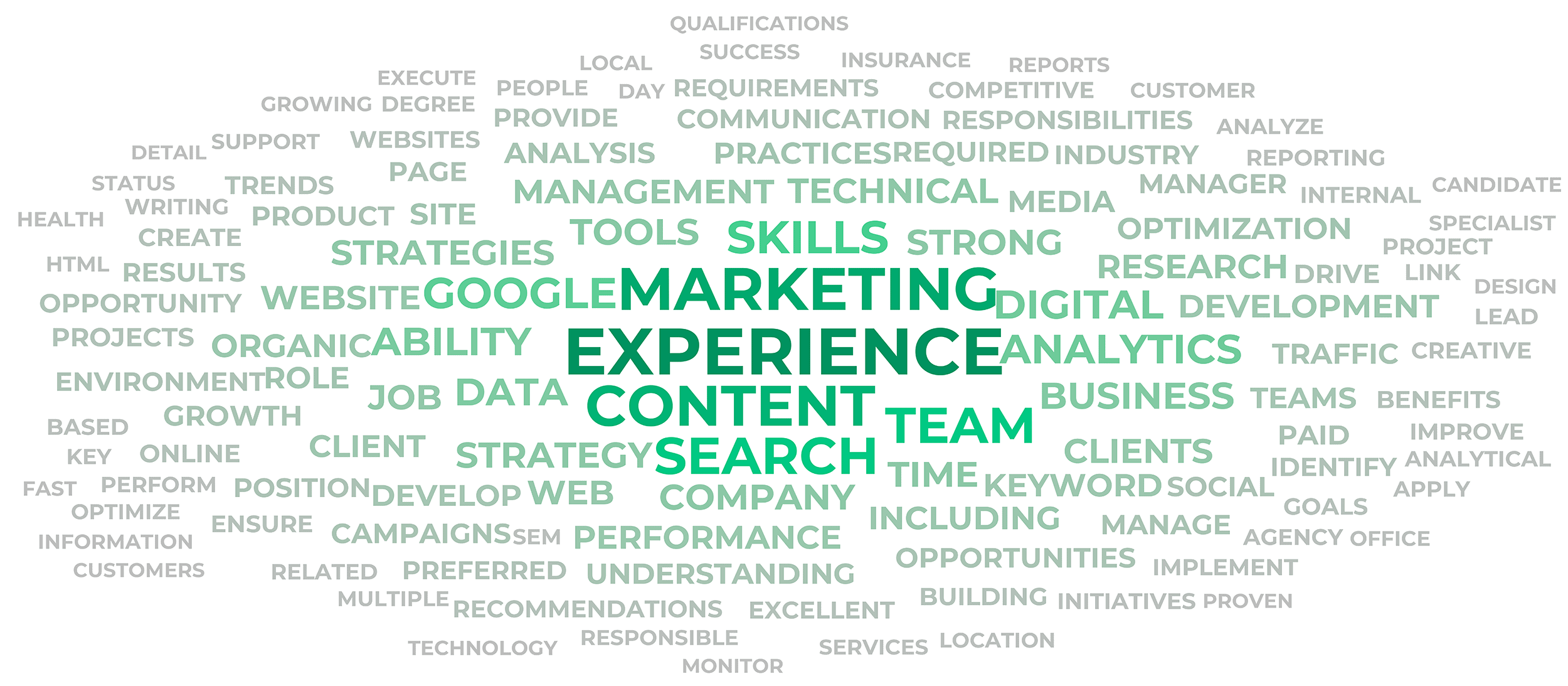 Job description terms – Word cloud