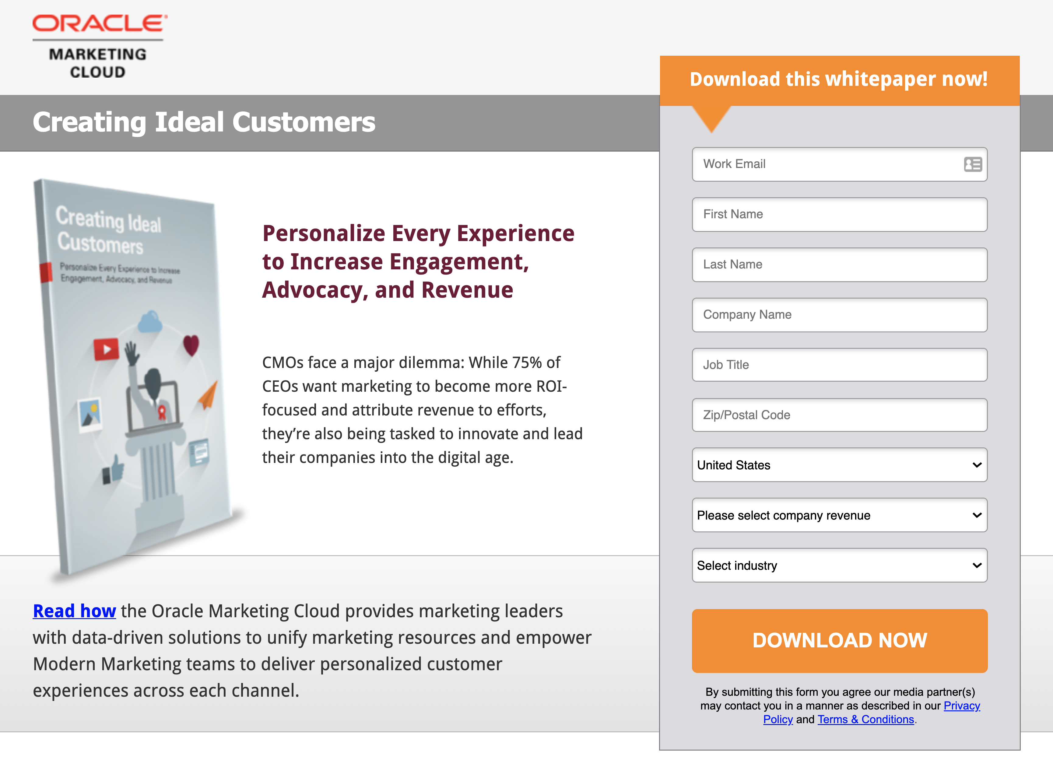 Creating Ideal Customers Squeeze Page