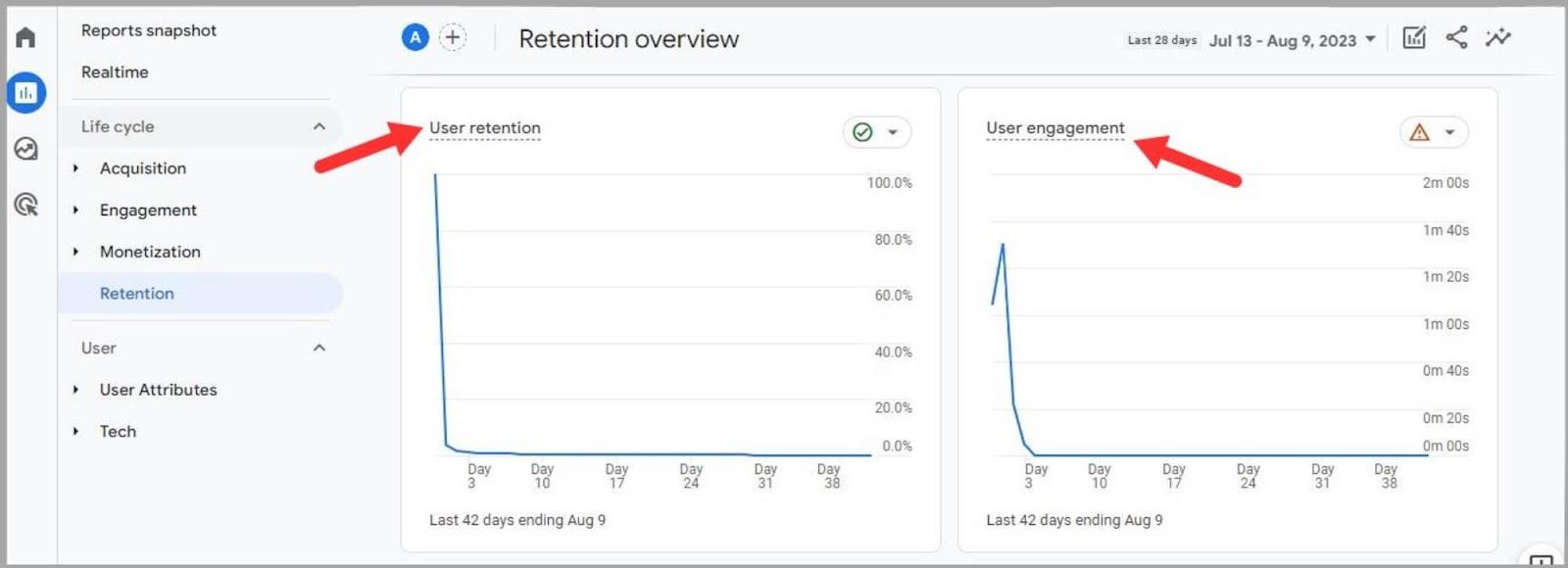 User-cohort-graphs