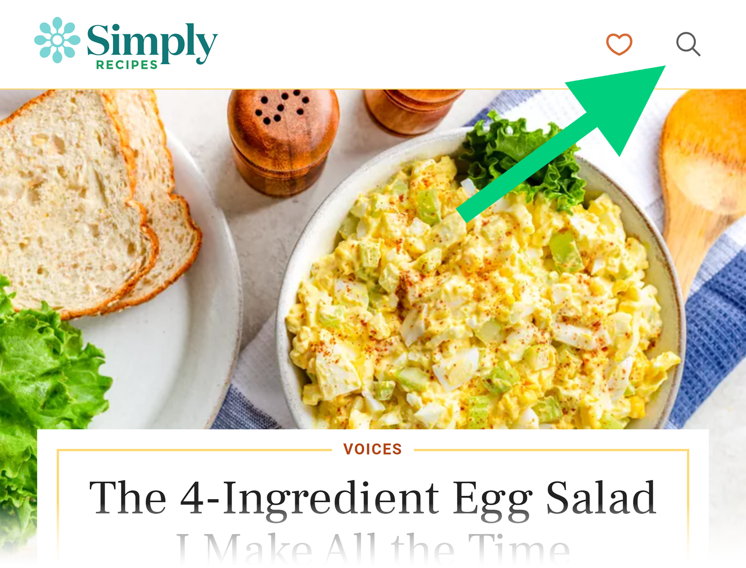 Simply Recipes – Magnifying glass icon