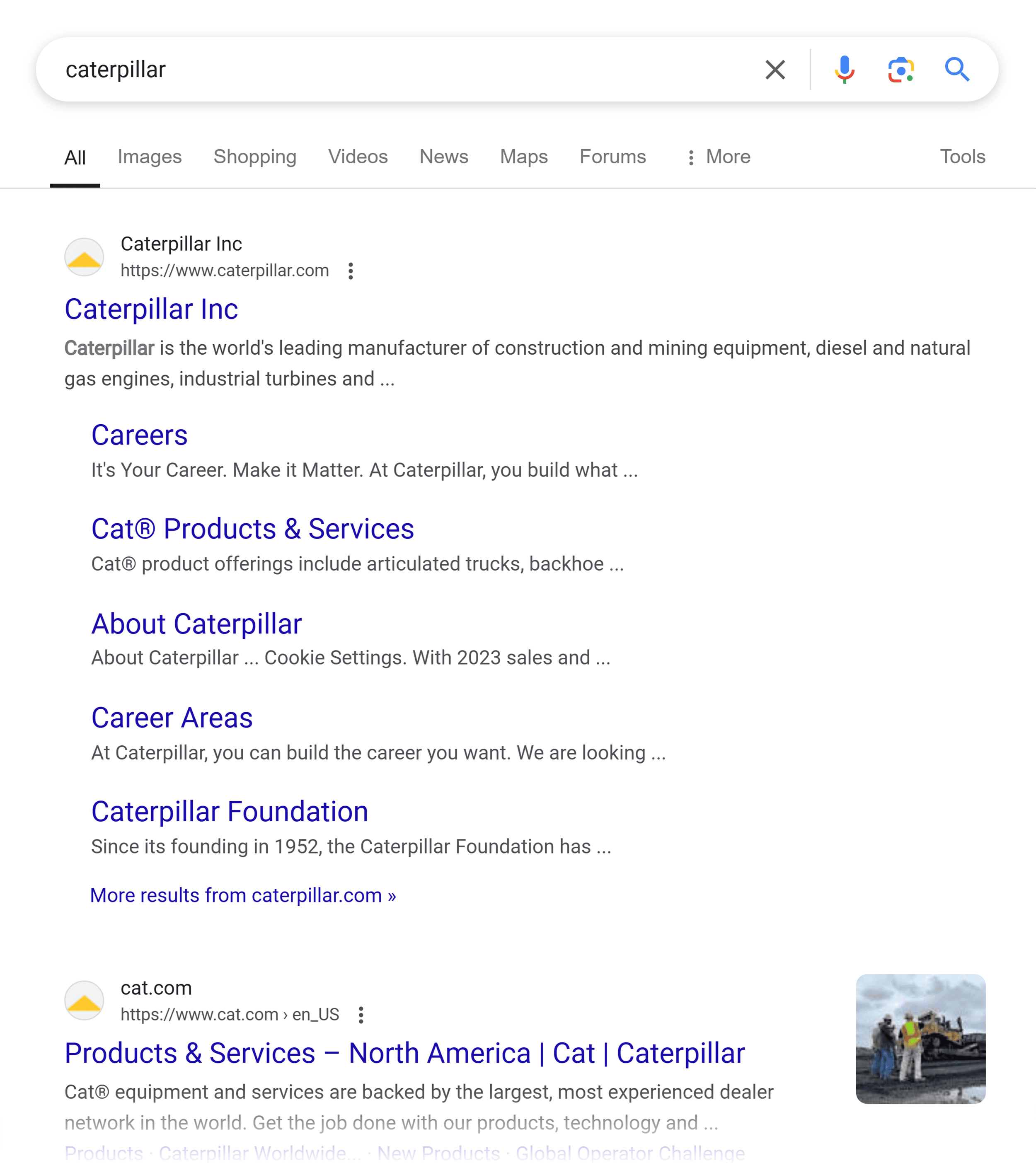 Google SERP – Caterpillar