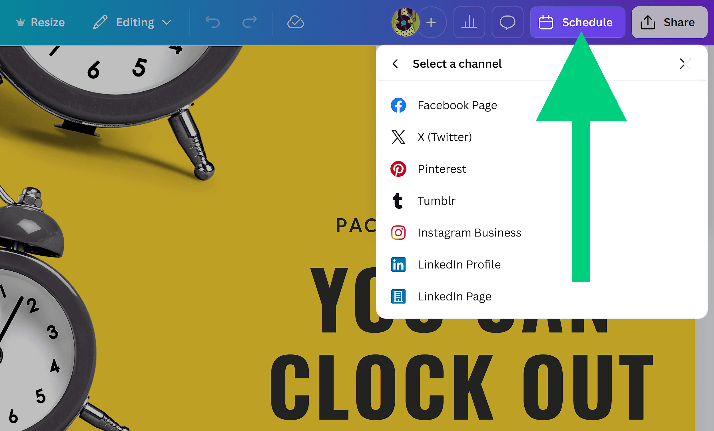 Canva – Schedule design Canva – Schedule design
