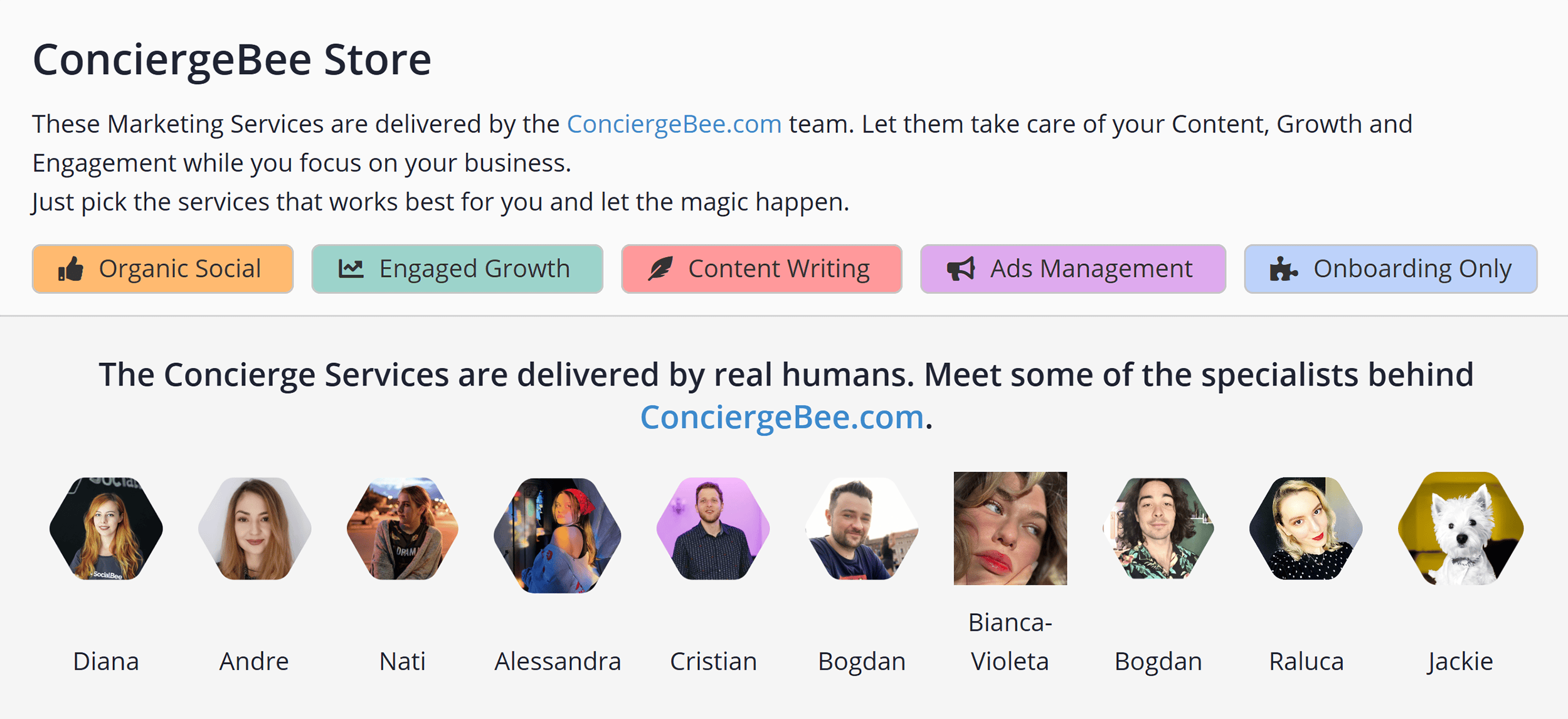 SocialBee – ConciergeBee Store SocialBee – ConciergeBee Store