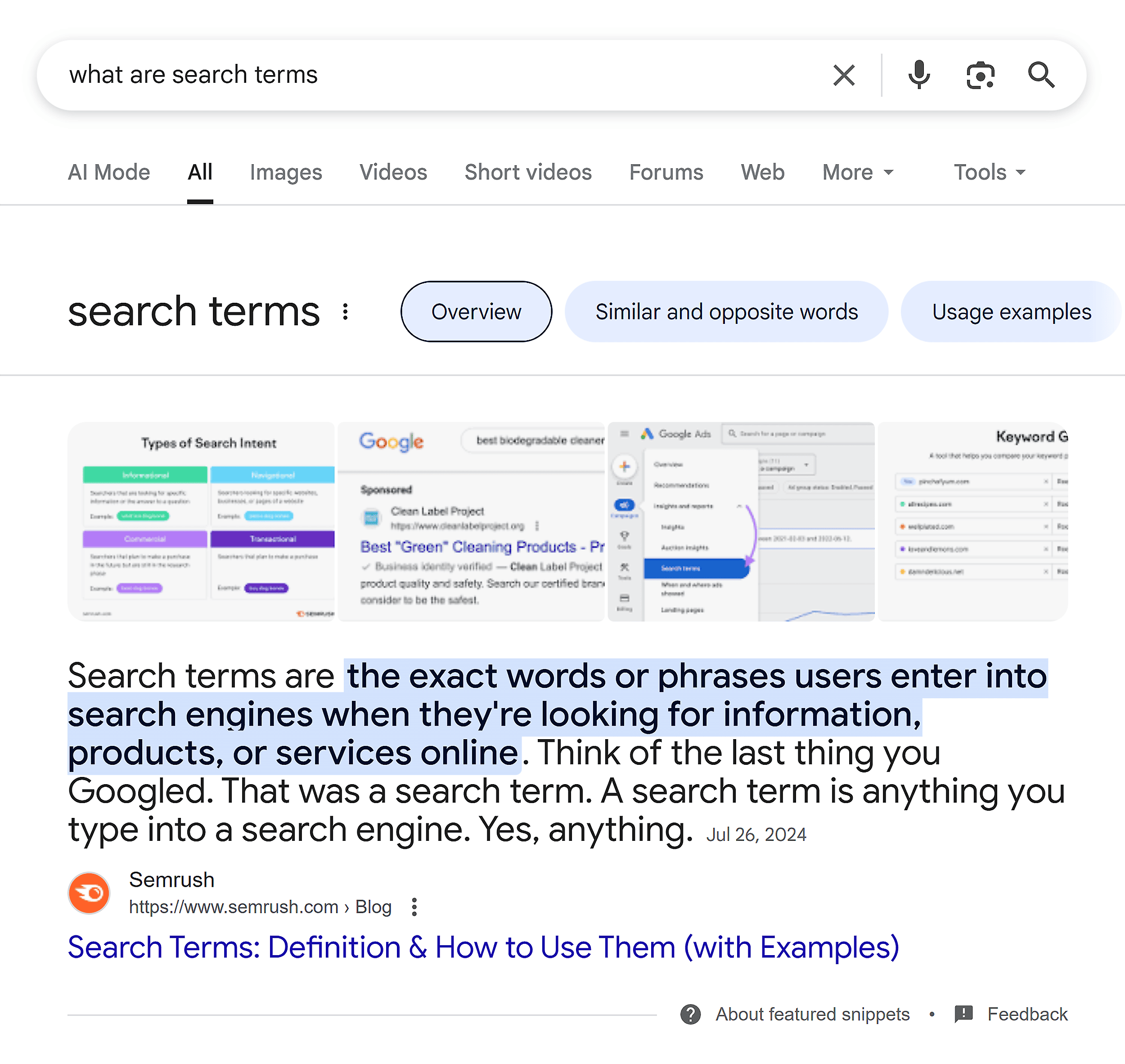 Google SERP – What are search terms – Featured snippet Google SERP – What are search terms – Featured snippet