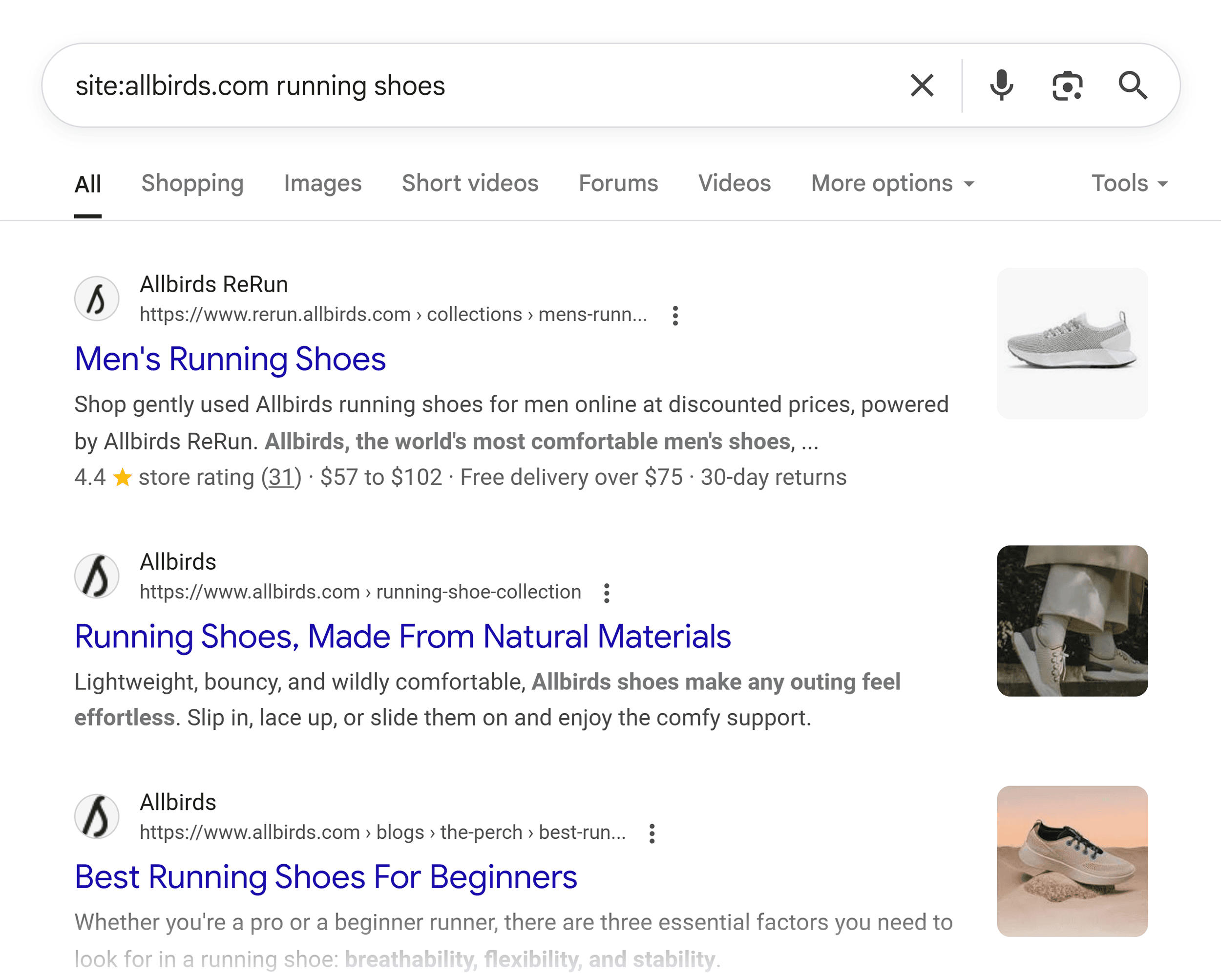 Google SERP – Site:Allbirds running shoes