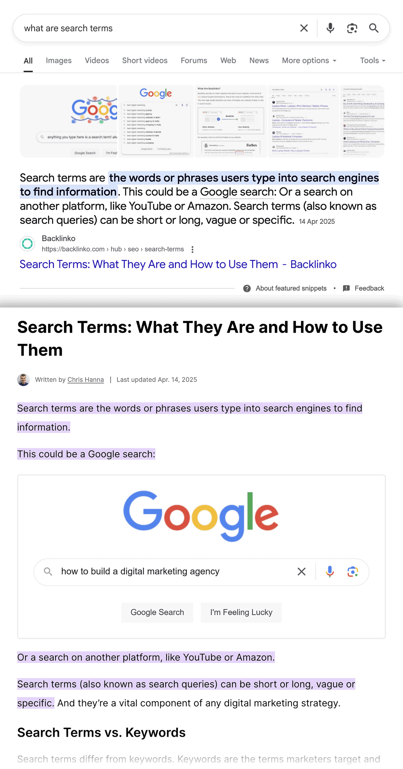 Google SERP – What are search terms – Featured snippet – Collage Google SERP – What are search terms – Featured snippet – Collage