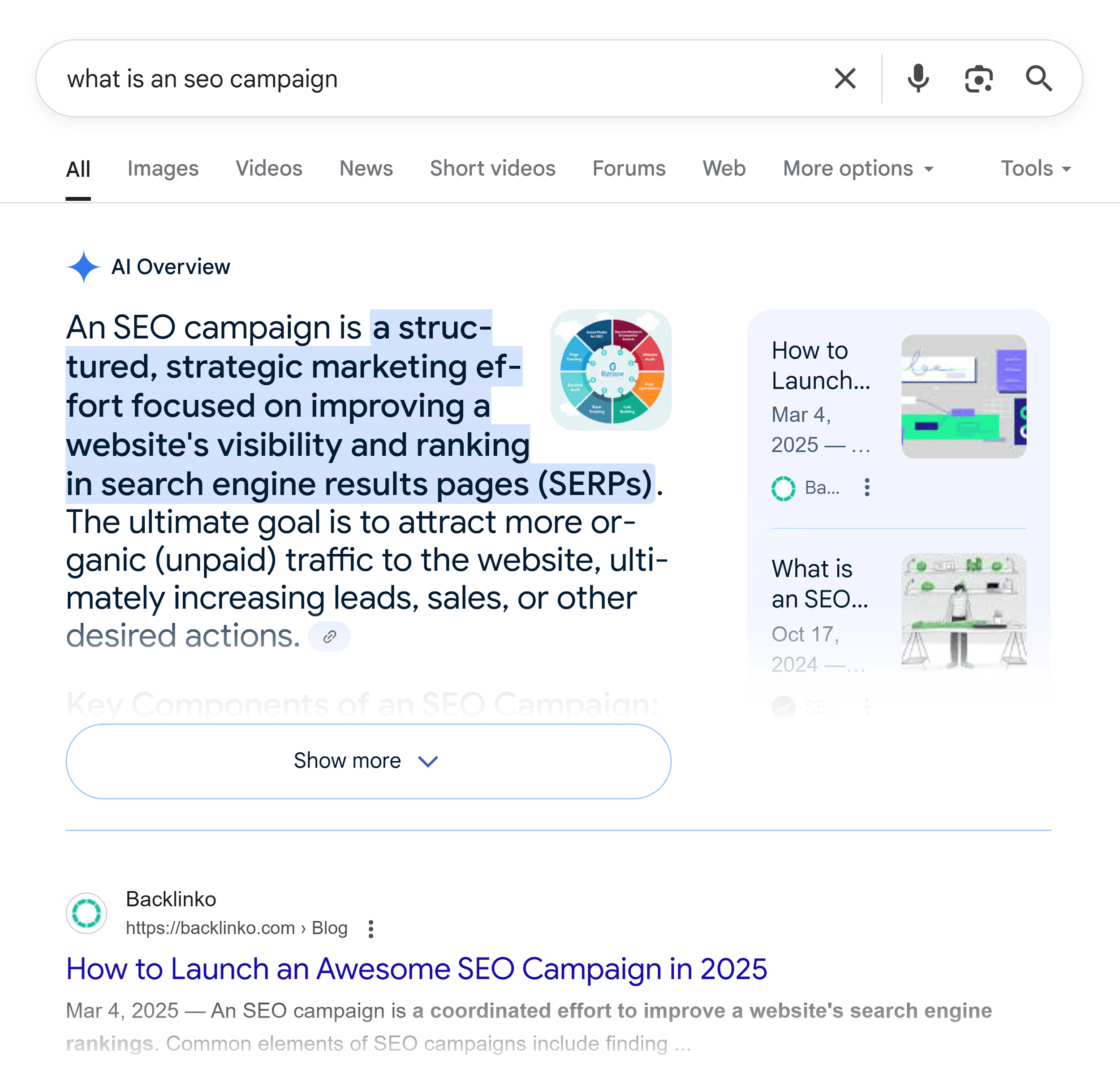 Google SERP – What is an SEO campaign – AI Overview Google SERP – What is an SEO campaign – AI Overview
