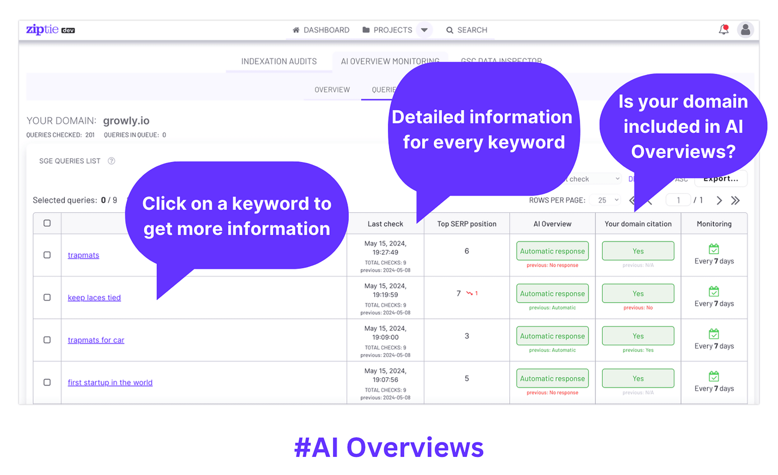 ZipTie – AI Overviews