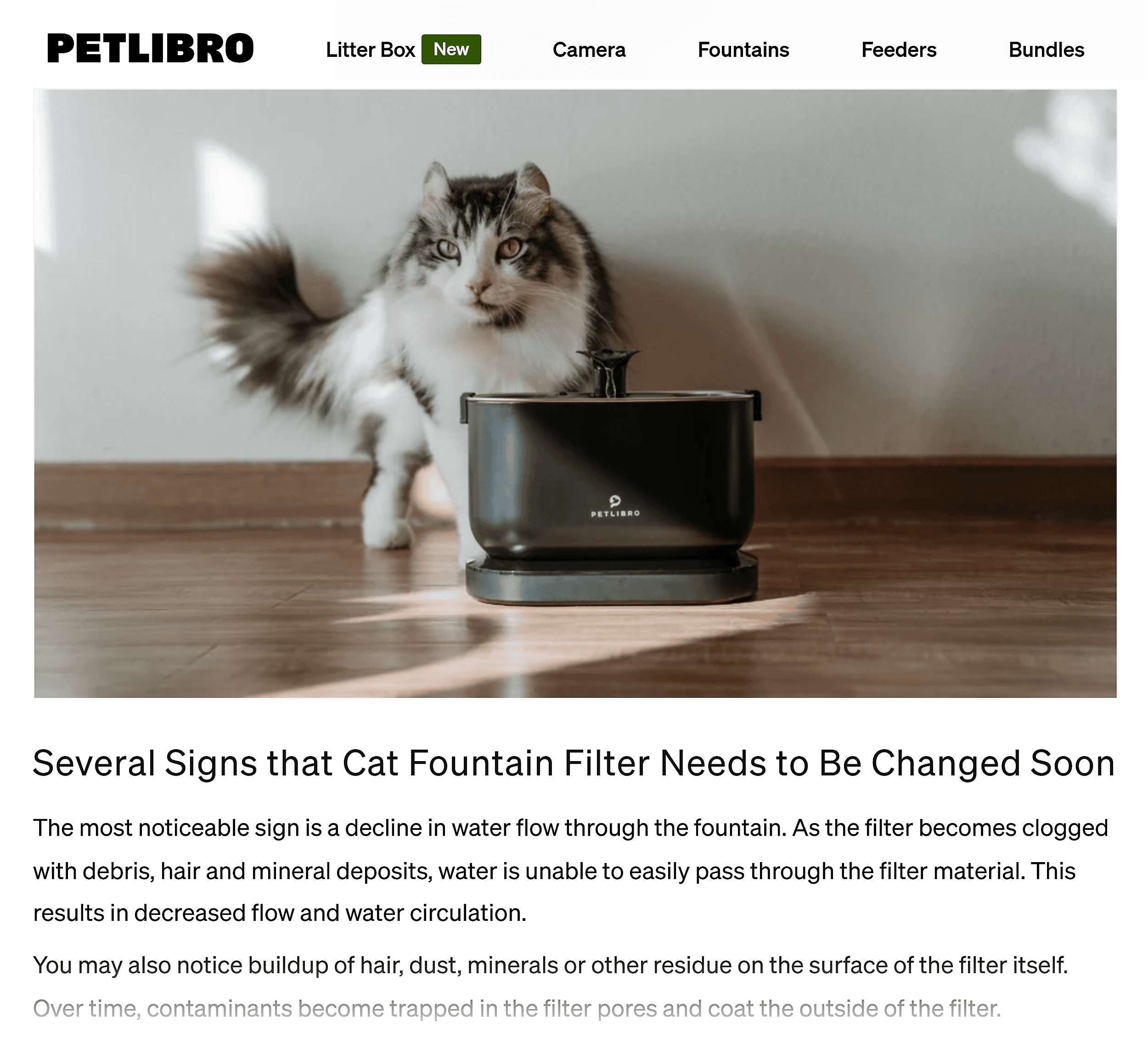Petlibro – Blog post