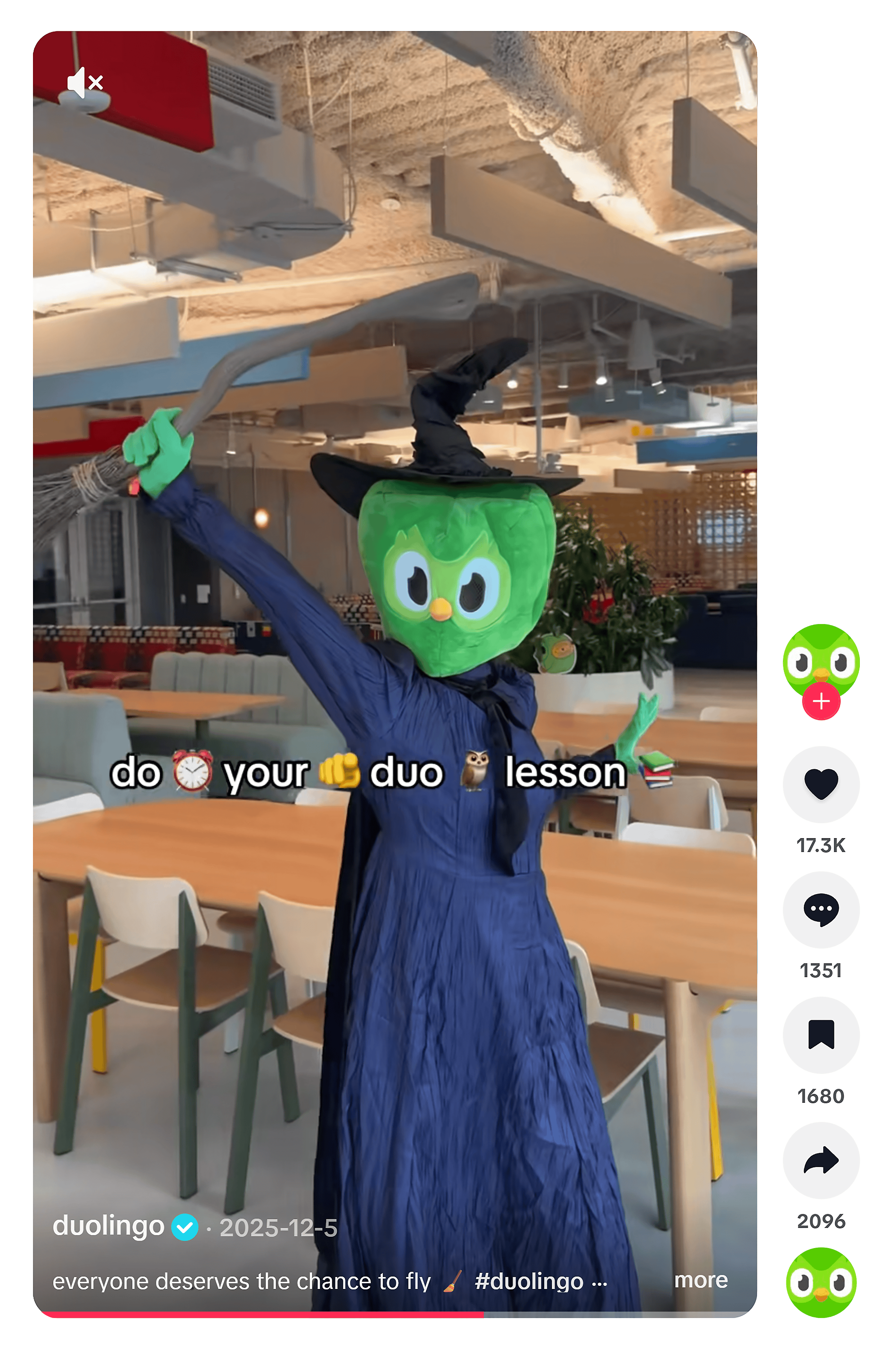 TikTok &ndash; Duolingo &ndash; Video