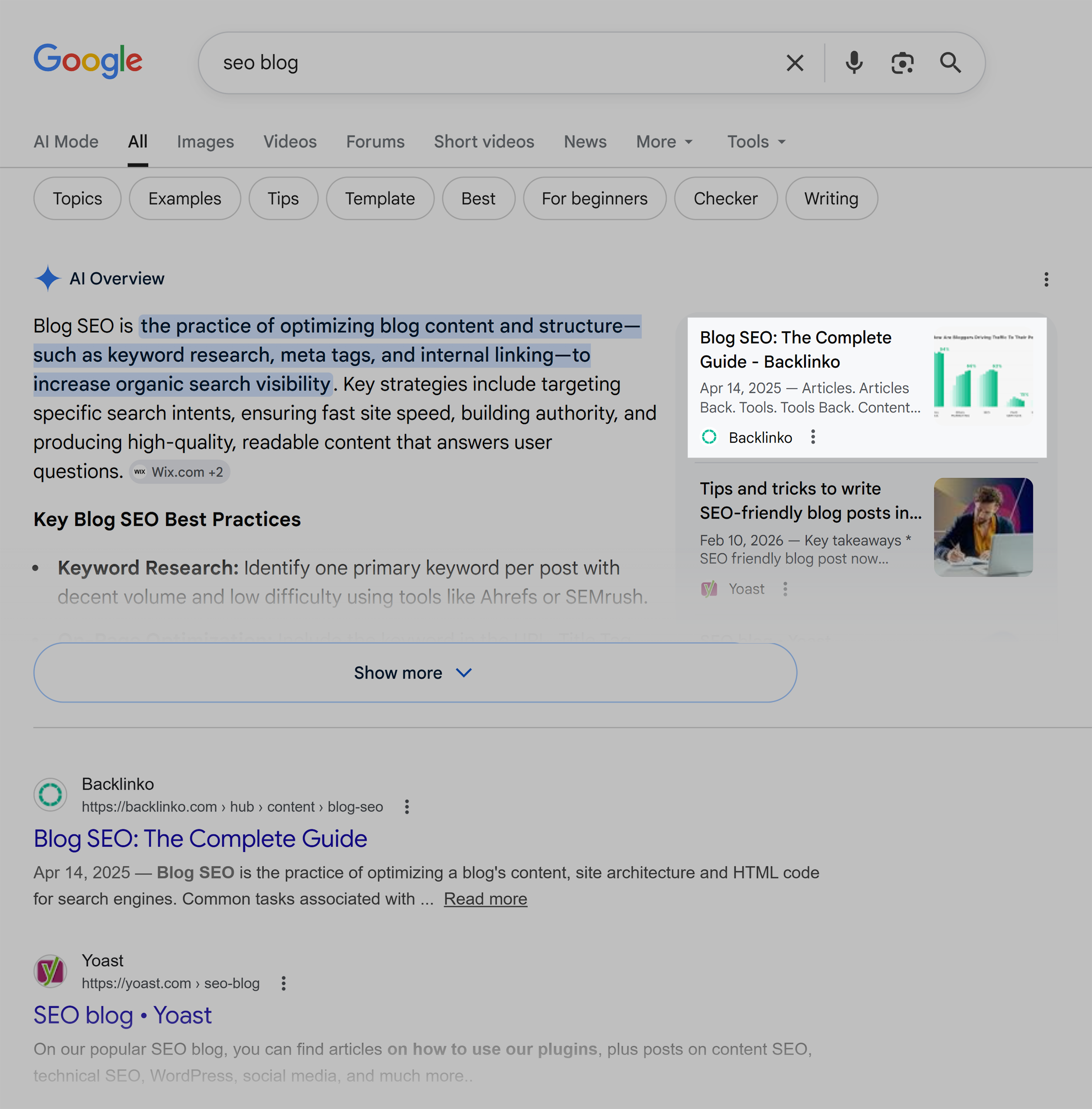Google SERP – SEO blog – AI Overview Google SERP – SEO blog – AI Overview