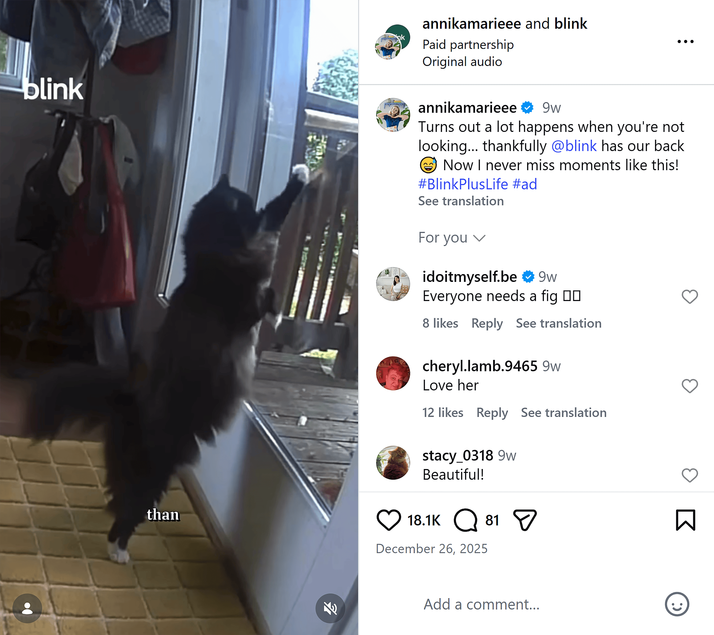 Instagram &ndash; Blink &ndash; Pets post