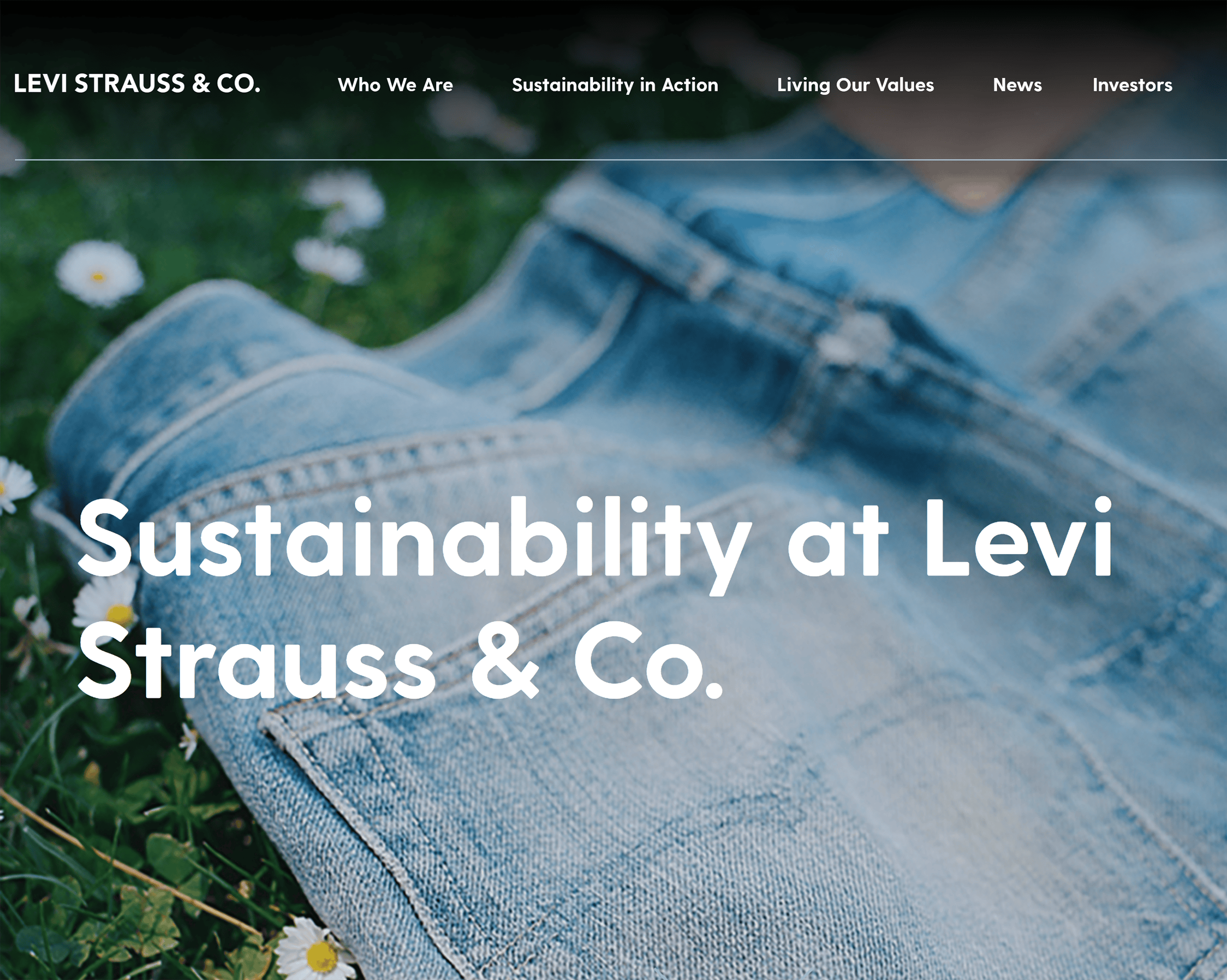 Levi Strauss &ndash; Sustainability