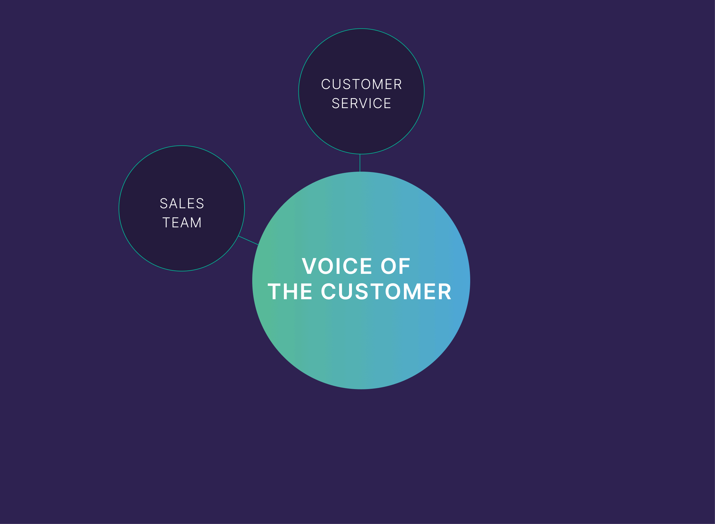 Customer service &ndash; Voice of the customer