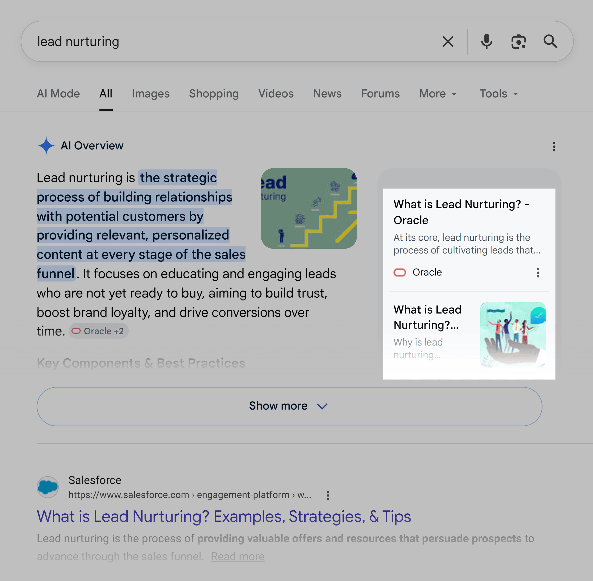 Google SERP &ndash; Lead nurturing &ndash; AI Overview