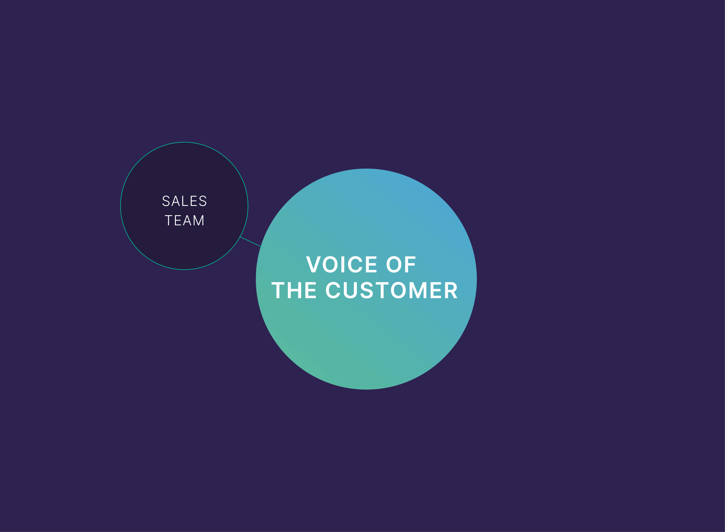 Sales team &ndash; Voice of the customer