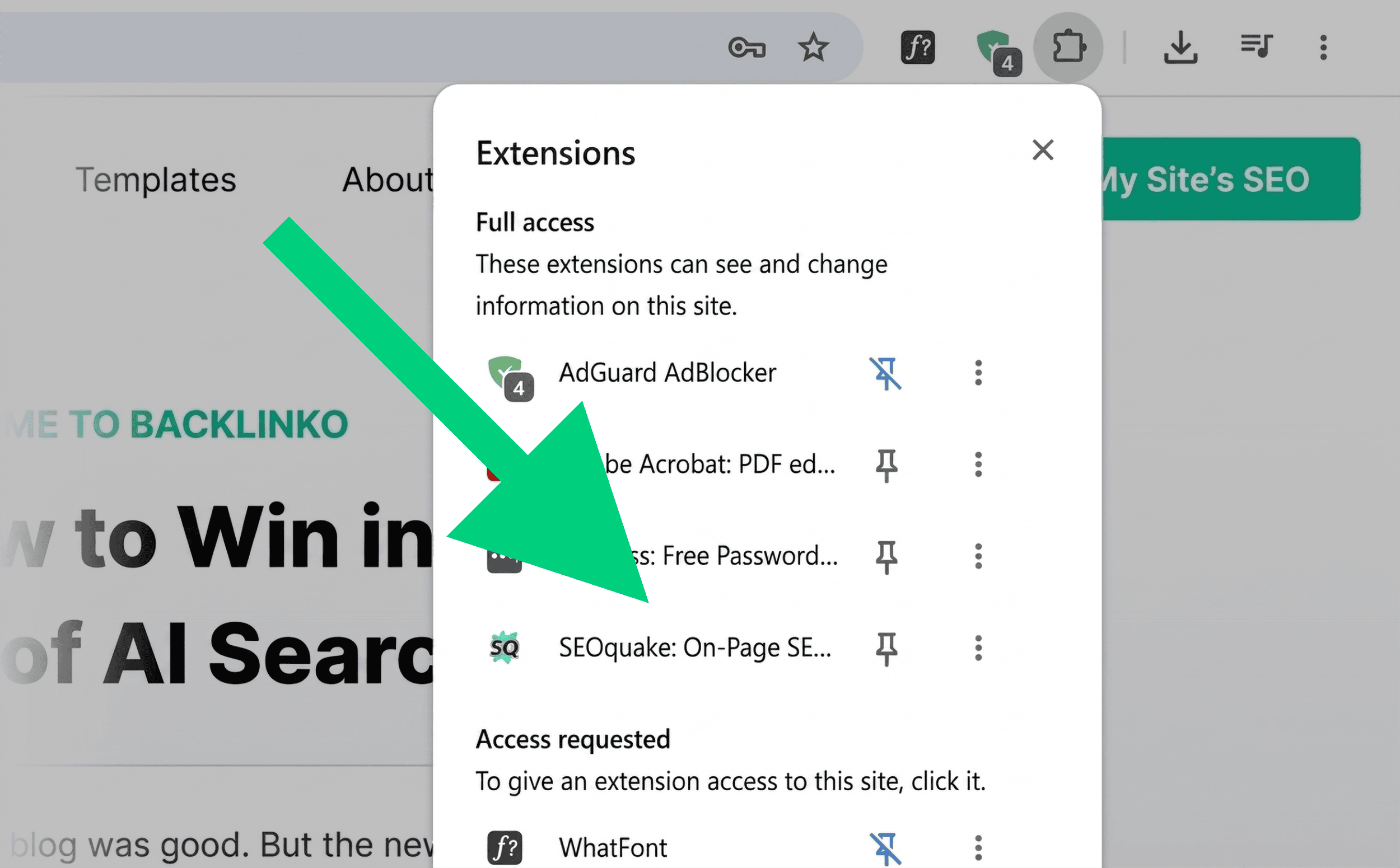 Chrome extensions list