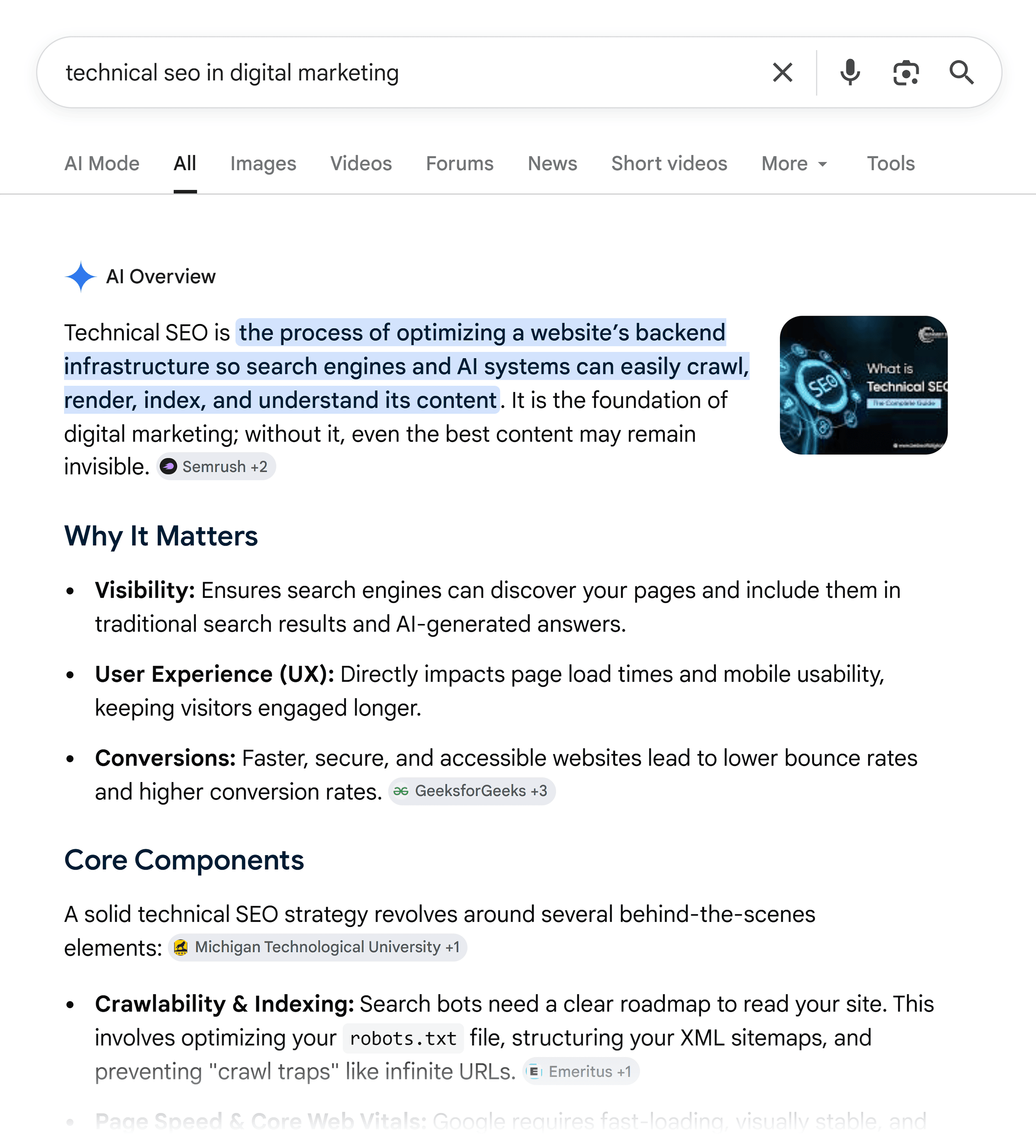 Google SERP &ndash; Technical SEO &ndash; AI Overview