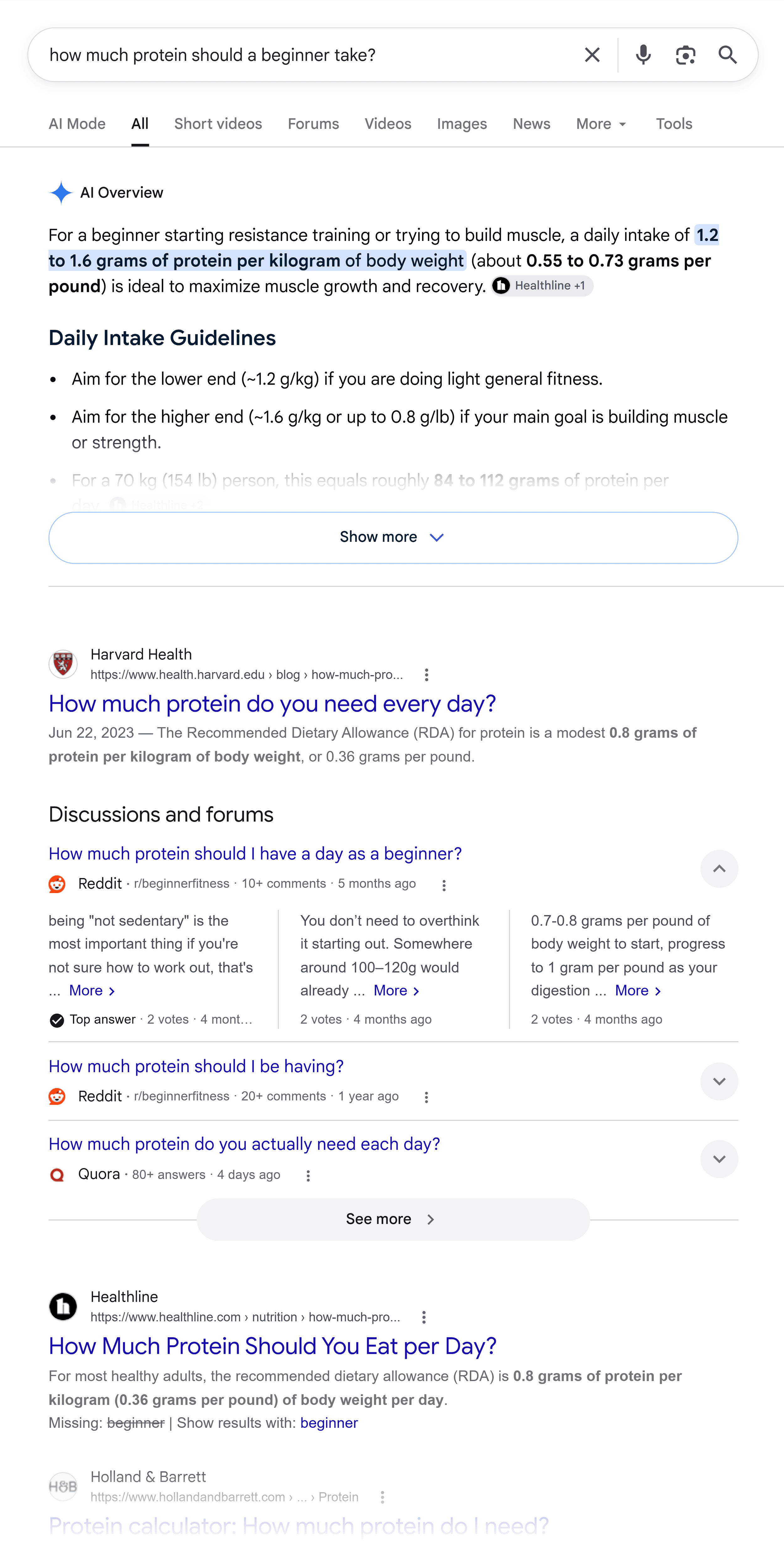 Google SERP &ndash; How much protein should a beginner take