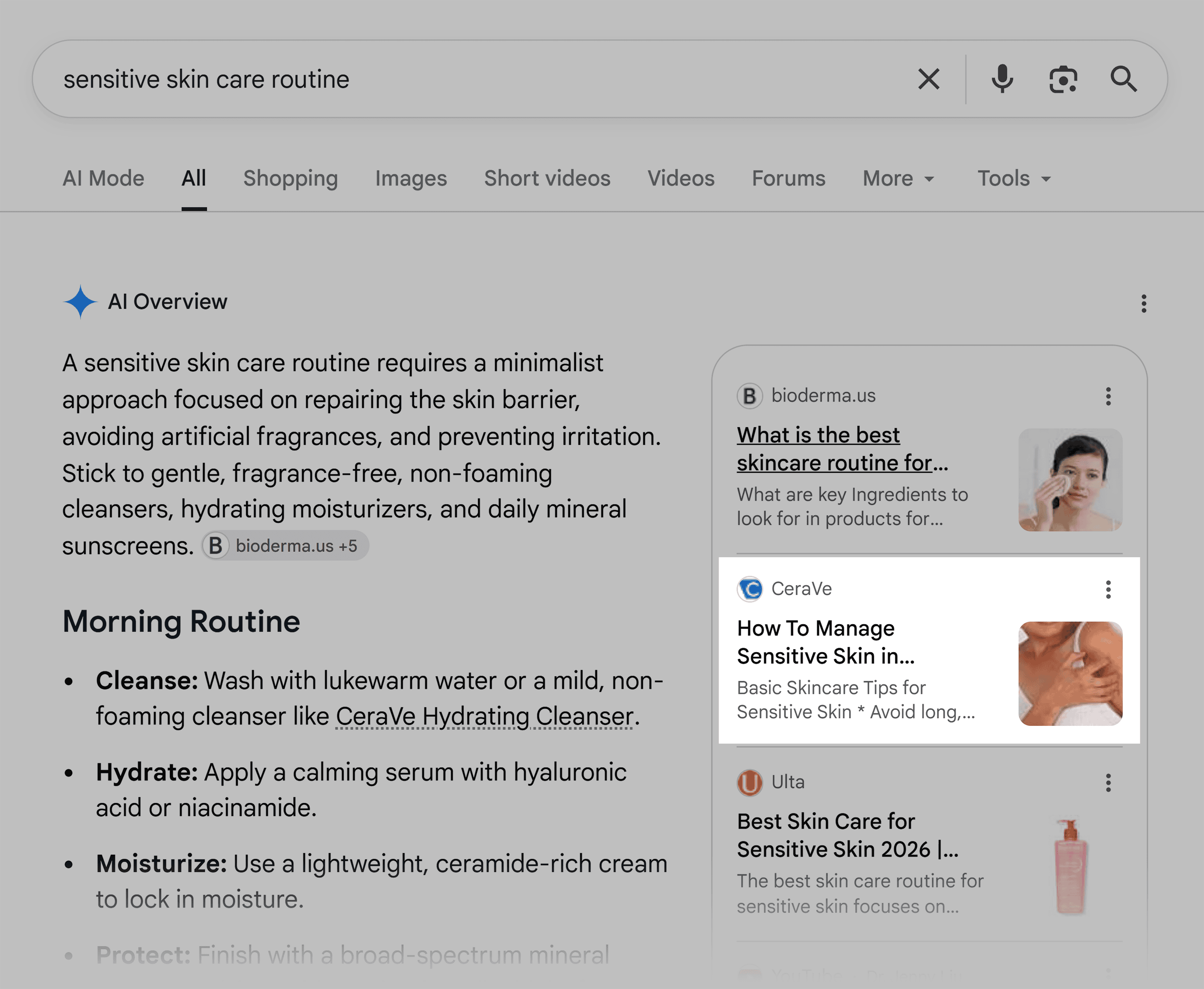 Google SERP &ndash; Sensitive skin care routine &ndash; AI Overview