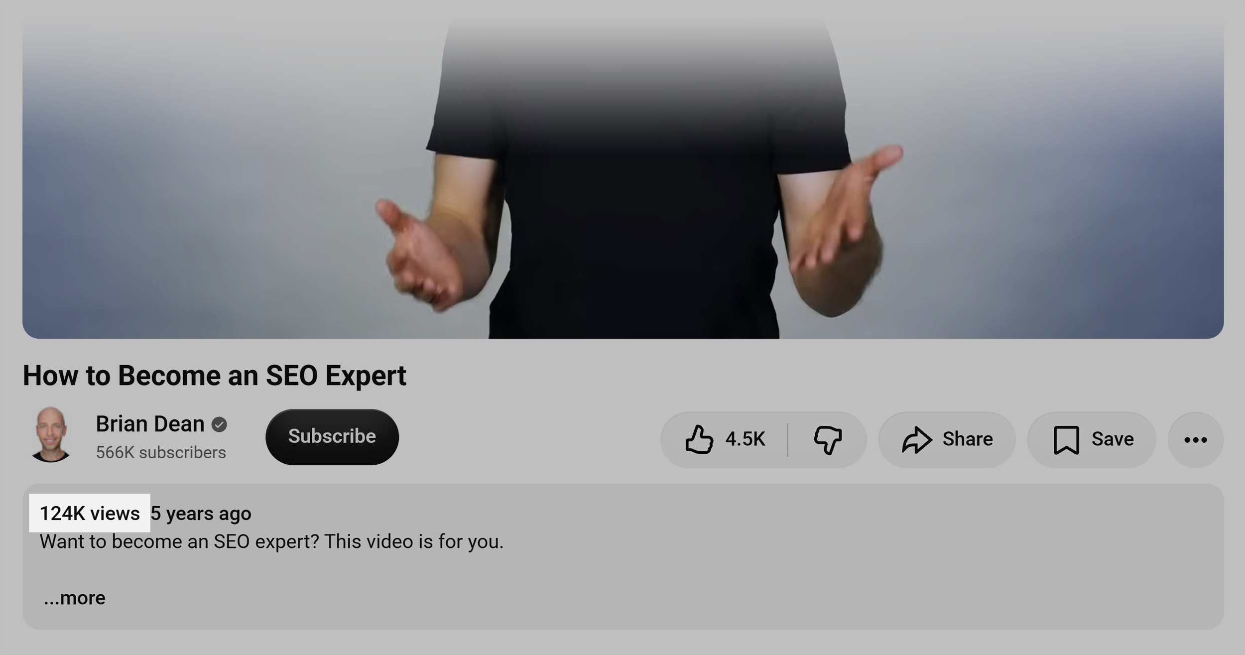 SEO expert &ndash; Video views